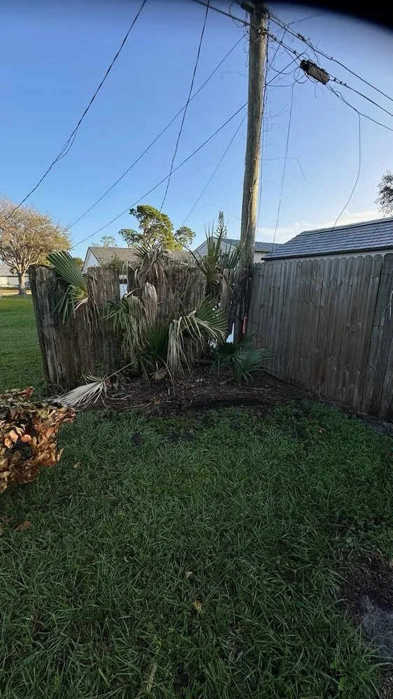 Top-rated yard cleanup service in Immokalee, FL - Garden of Paradise