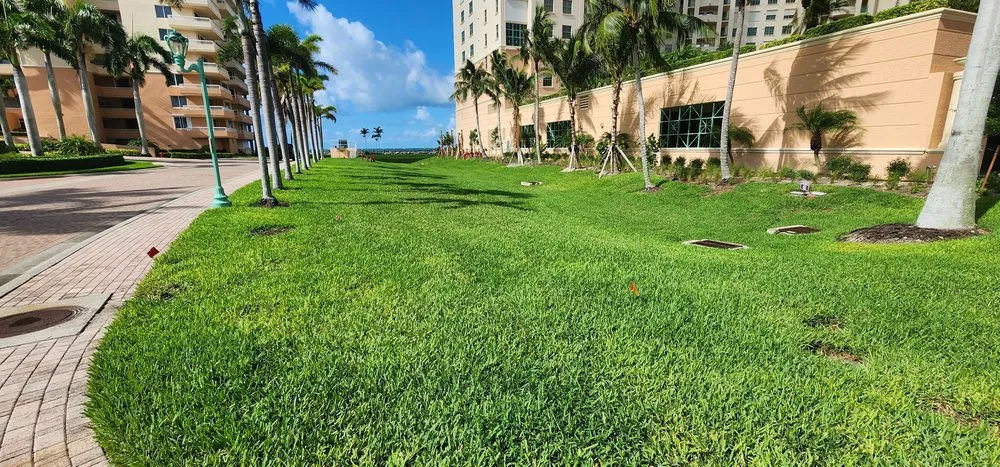 Custom lawn care service for residential properties across Immokalee, FL - Garden of Paradise