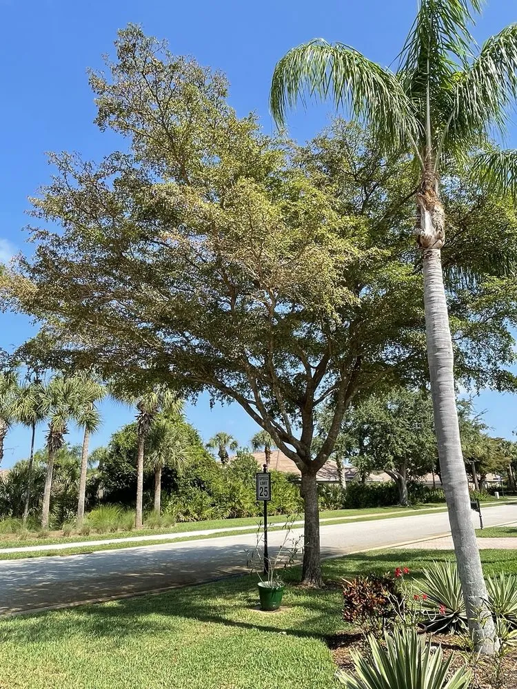 Top-rated landscaping services for homes in Immokalee, FL by Garden of Paradise