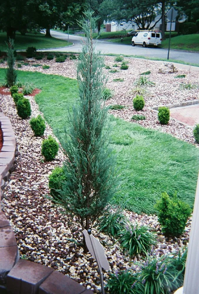 Top-rated residential landscaping in Paterson, NJ - Garden of Secrets