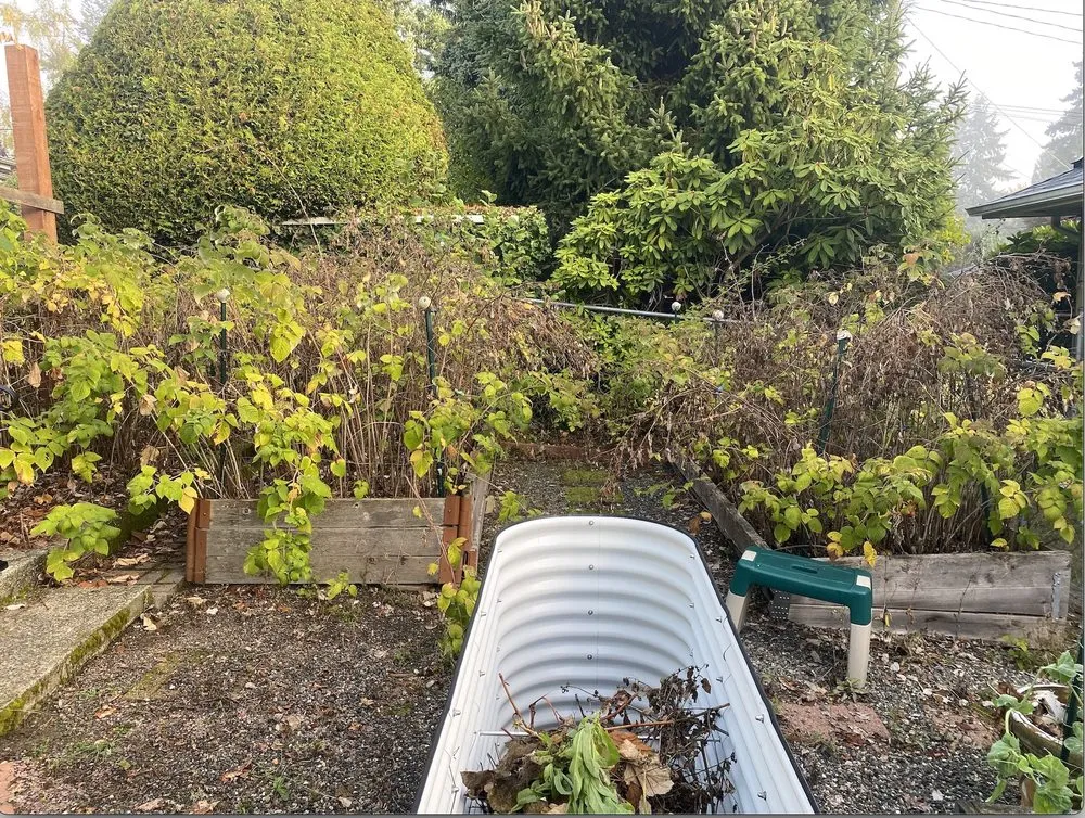 Affordable outdoor landscaping in Lake Forest Park, WA by Garden Of Weedin'