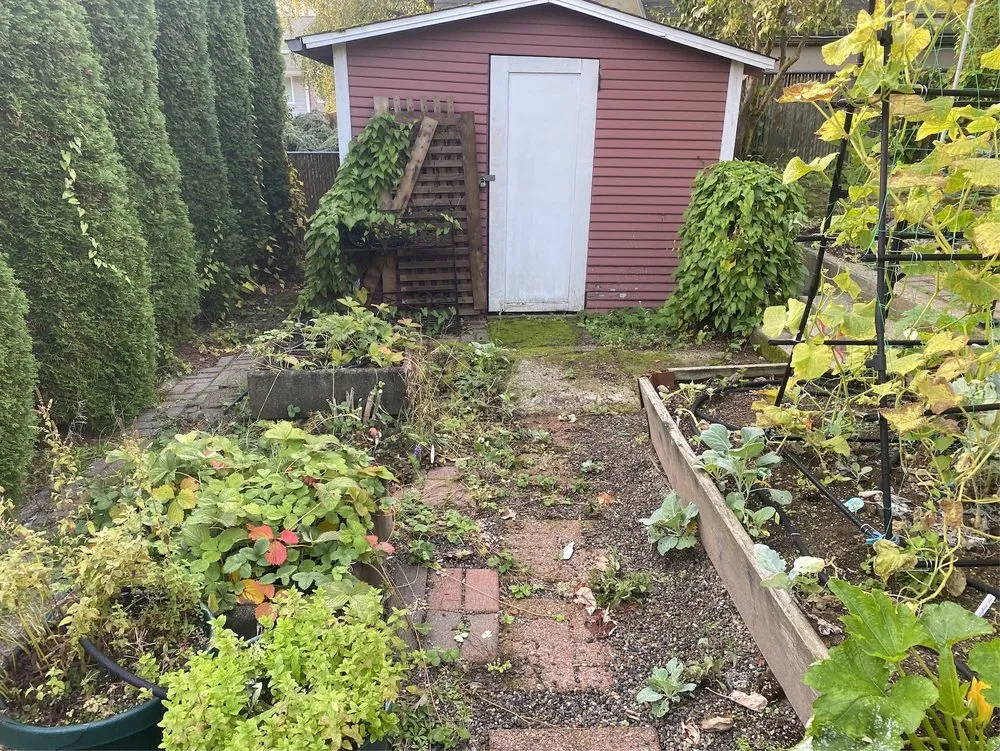 Affordable lawn care service for residential properties across Lake Forest Park, WA - Garden Of Weedin'