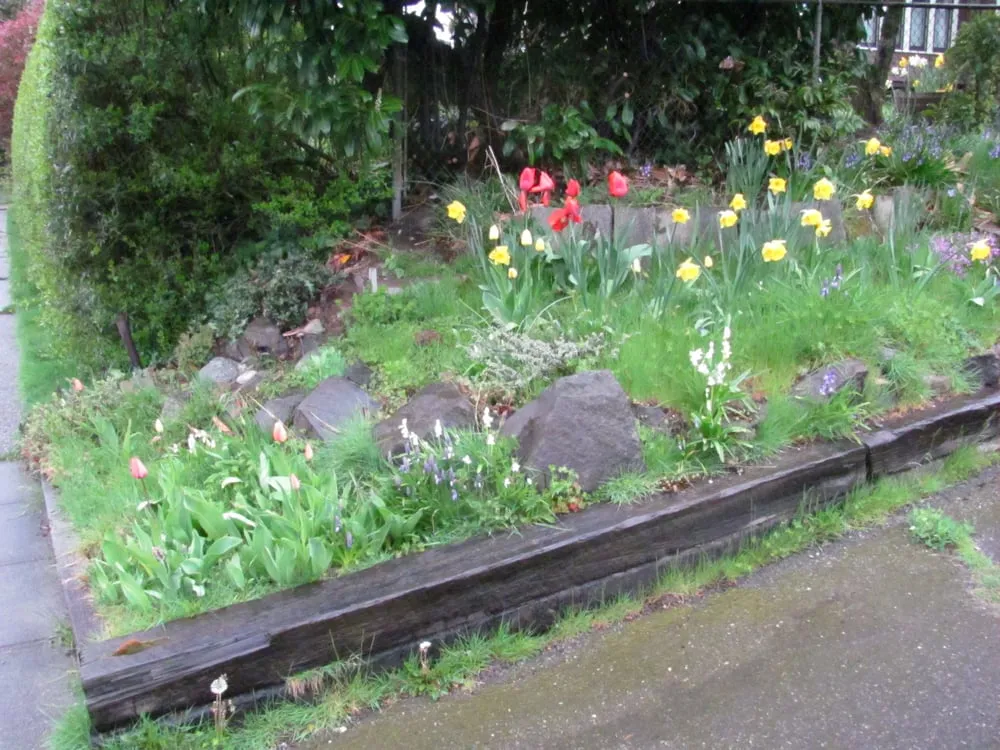 Affordable outdoor landscaping for residential properties across Lake Forest Park, WA - Garden Of Weedin'