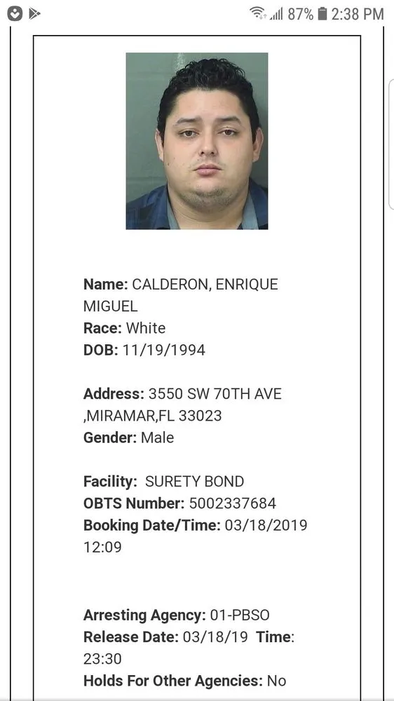 Reliable landscaping services with custom design in Miramar, FL by Garden Paradise Landscaping