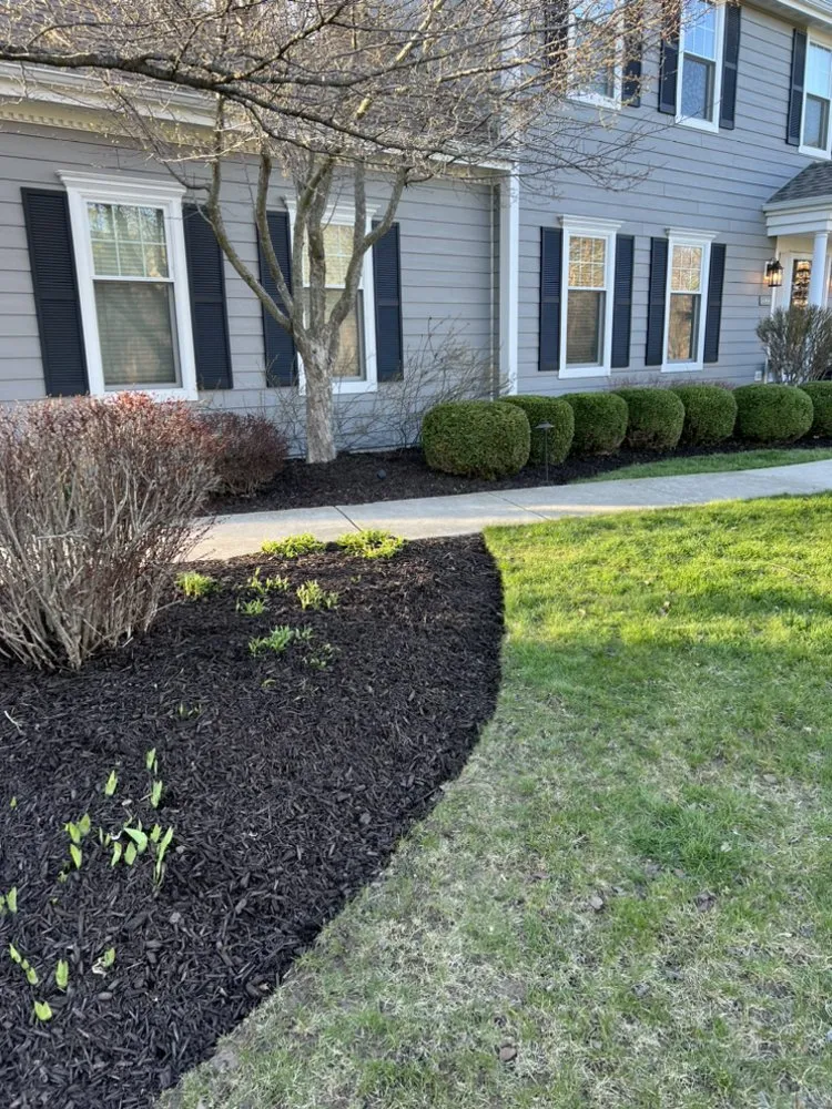 Local yard cleanup service in Milwaukee, WI - Garden Partners Landscaping
