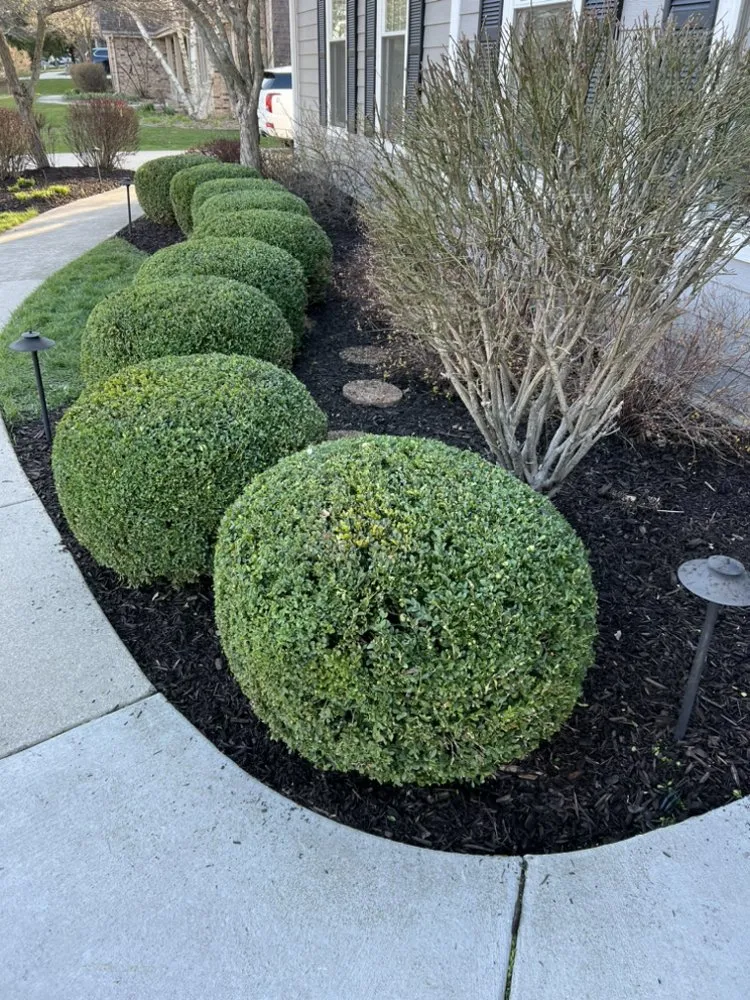 Expert yard maintenance for residential properties in Milwaukee, WI by Garden Partners Landscaping