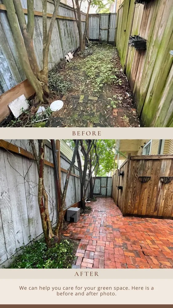 Professional yard maintenance in New Orleans, LA by Garden Picasso