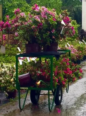 Garden Plus Designs, Inc.