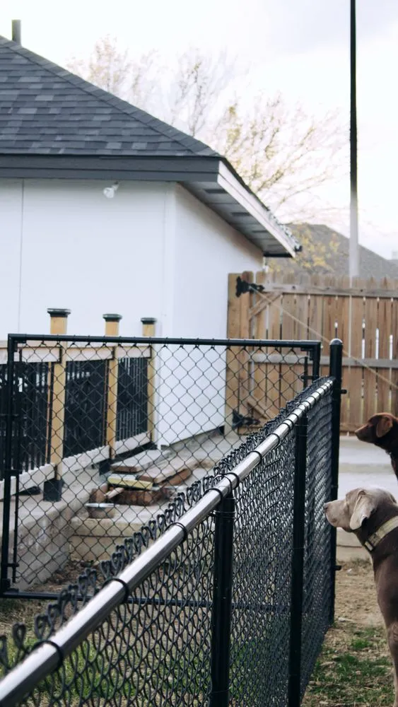 Expert yard maintenance in San Antonio, TX by Garden Pros Landscaping