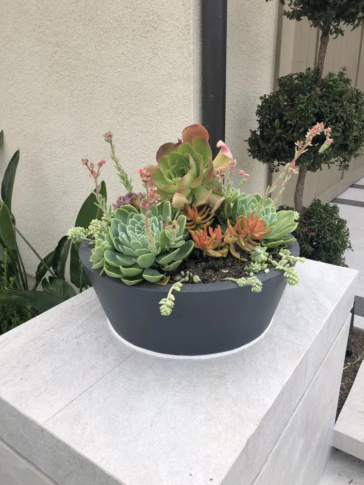 Custom landscape design experts serving Orange, CA - Garden Pros