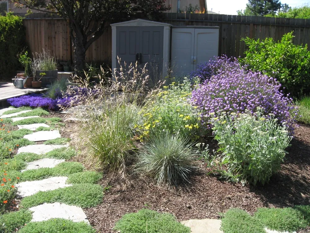 Expert yard maintenance in Menlo Park, CA by Garden Rain Landscaping