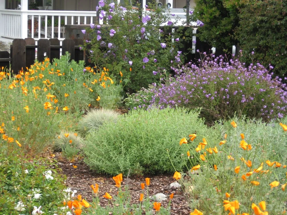 Professional yard cleanup service in Menlo Park, CA - Garden Rain Landscaping