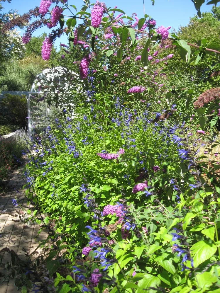 Reliable landscape design with custom design in Menlo Park, CA by Garden Rain Landscaping