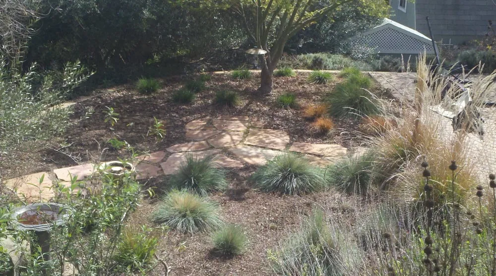 Affordable landscaping services near you across Menlo Park, CA - Garden Rain Landscaping