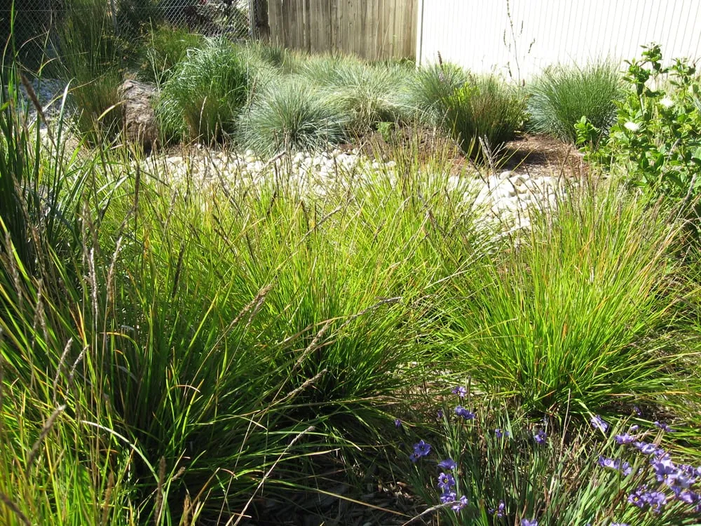 Reliable garden landscaping experts serving Menlo Park, CA - Garden Rain Landscaping