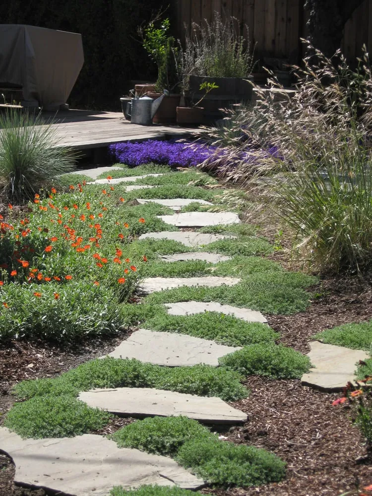 Trusted lawn mowing service in Menlo Park, CA - Garden Rain Landscaping