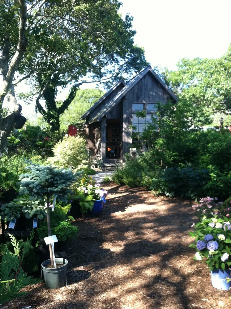 Local yard maintenance in Provincetown, MA - Garden Renovations