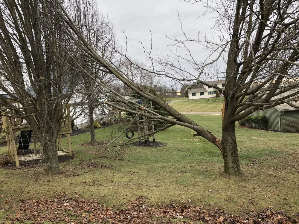 Custom landscape design in Granville, OH - Garden Rescue Rx