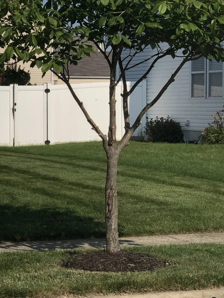 Local lawn mowing service in Granville, OH - Garden Rescue Rx