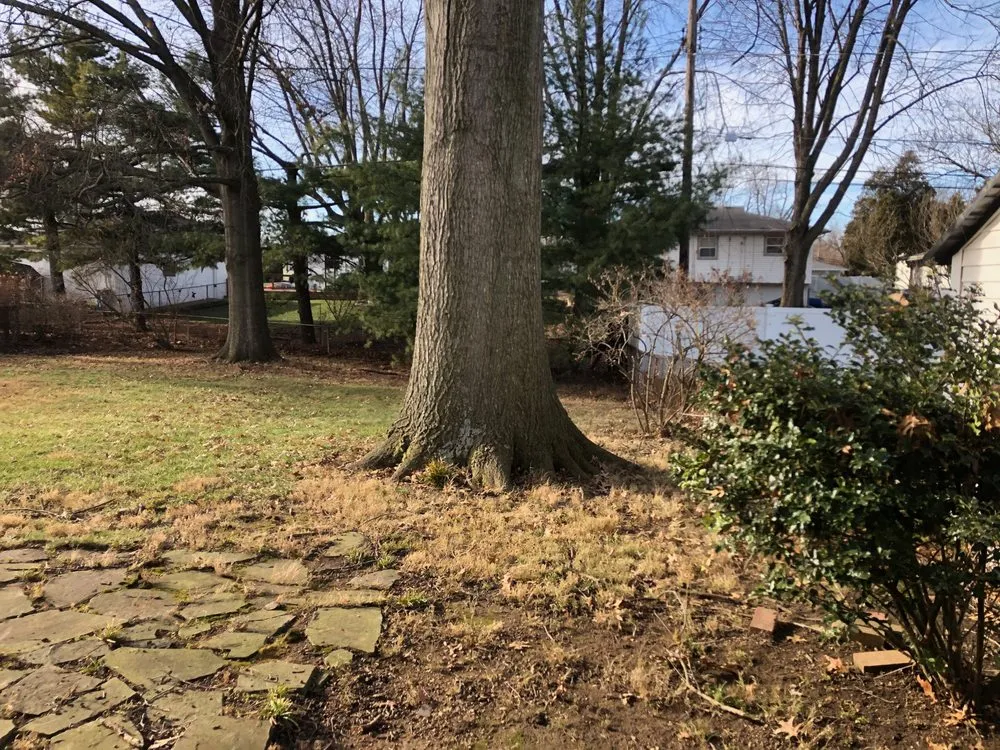 Reliable yard cleanup service for outdoor upgrades across Granville, OH - Garden Rescue Rx