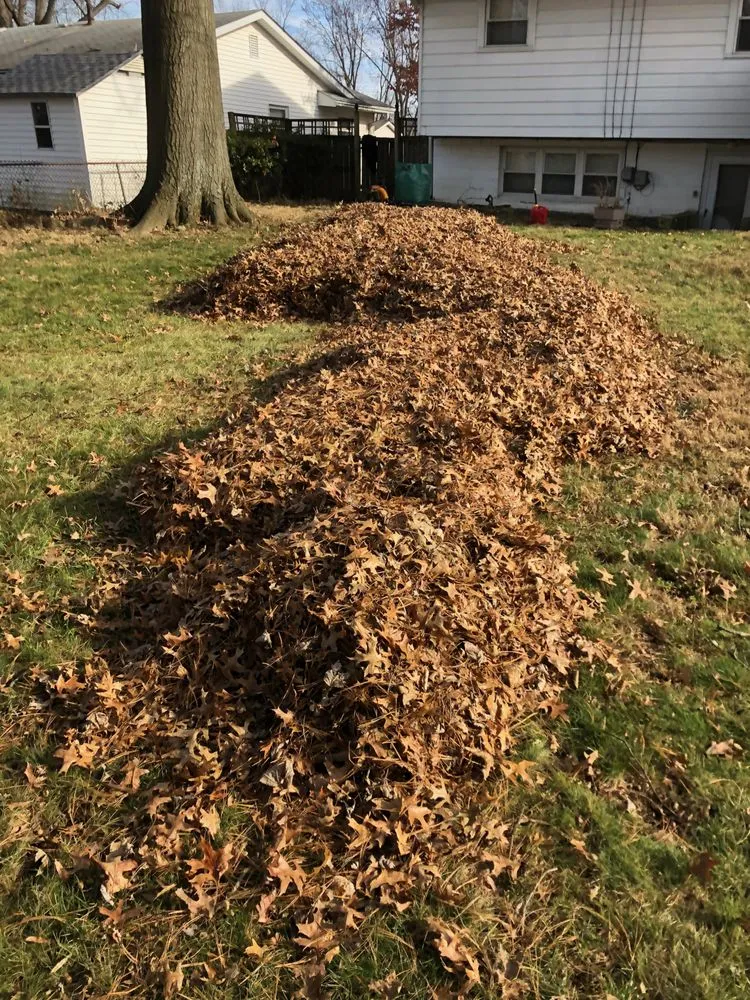 Professional landscape design in Granville, OH - Garden Rescue Rx