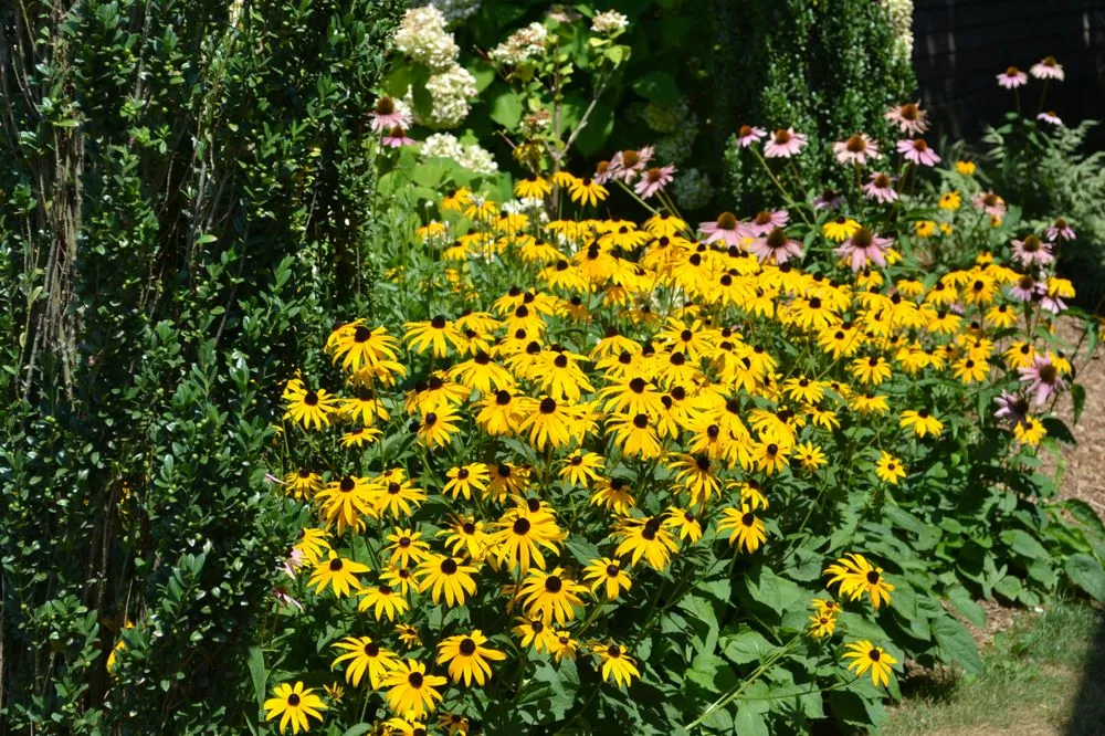 Top-rated outdoor landscaping for year-round maintenance across Granville, OH - Garden Rescue Rx