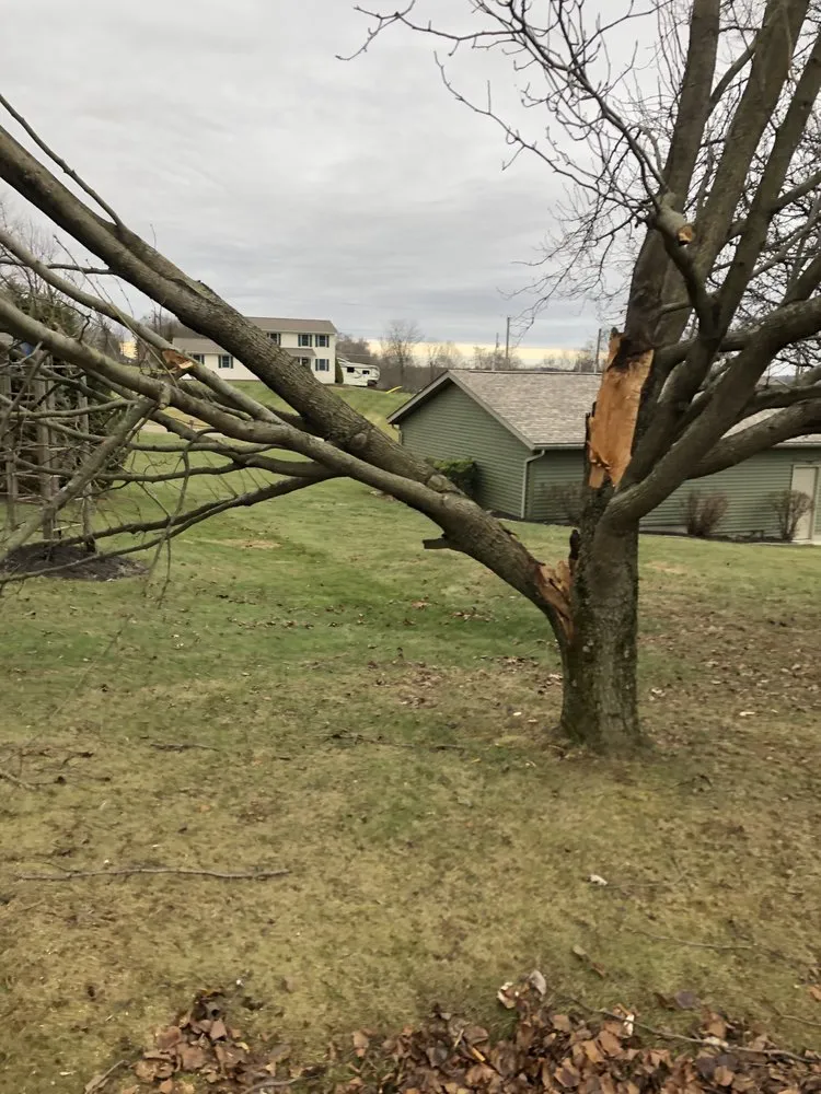 Trusted outdoor landscaping in Granville, OH by Garden Rescue Rx