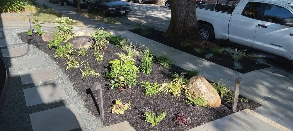 Local lawn care service in Hayward, CA - Garden Restoration