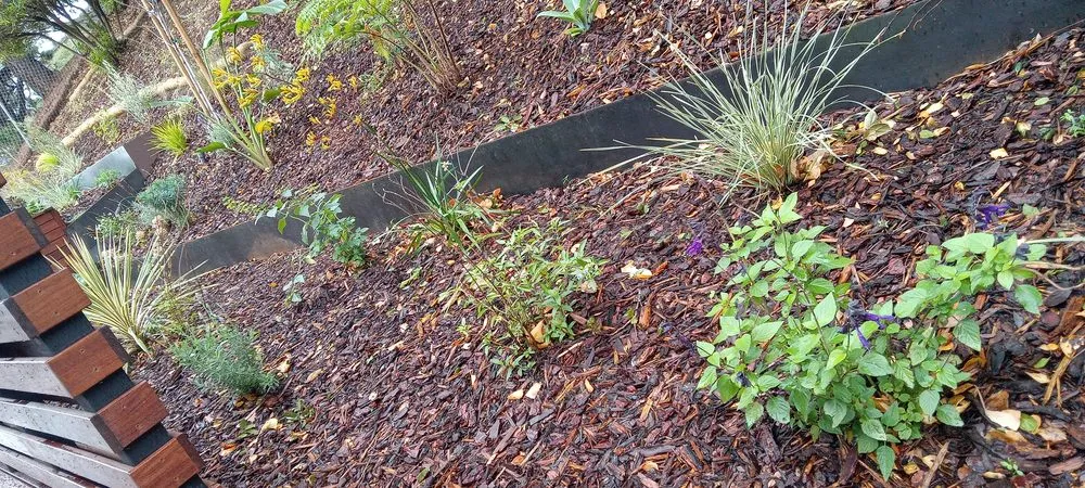 Trusted landscape design in Hayward, CA - Garden Restoration