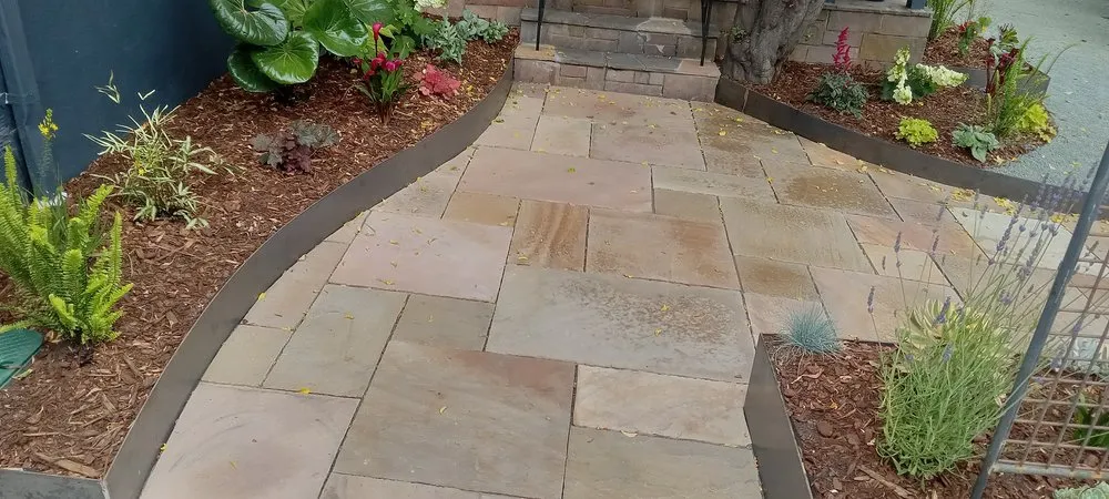 Reliable yard cleanup service in Hayward, CA - Garden Restoration