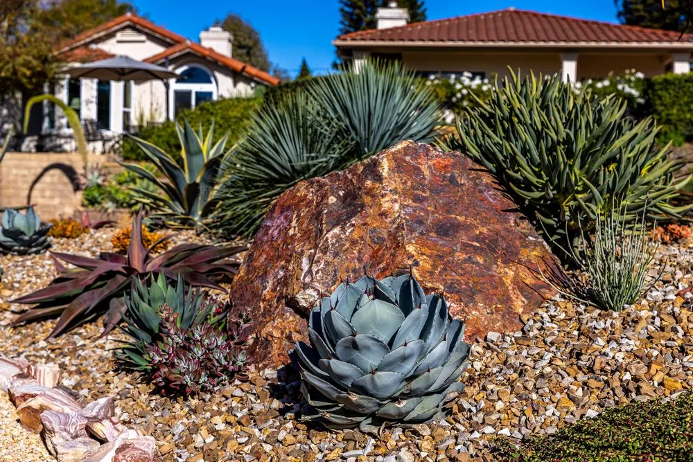 Top-rated lawn mowing service with custom design across Encinitas, CA - Garden Rhythms