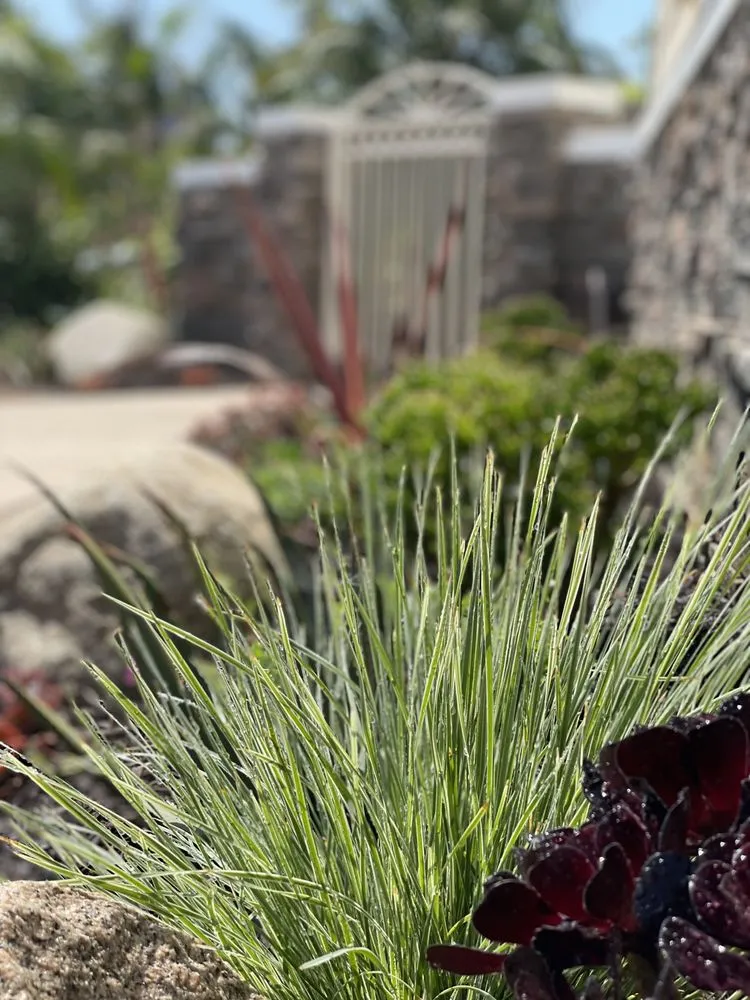 Top-rated landscaping services for outdoor upgrades in Encinitas, CA by Garden Rhythms