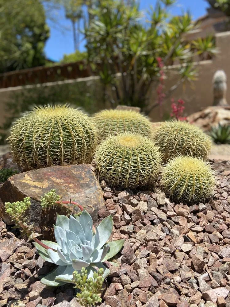 Local outdoor landscaping experts serving Encinitas, CA - Garden Rhythms