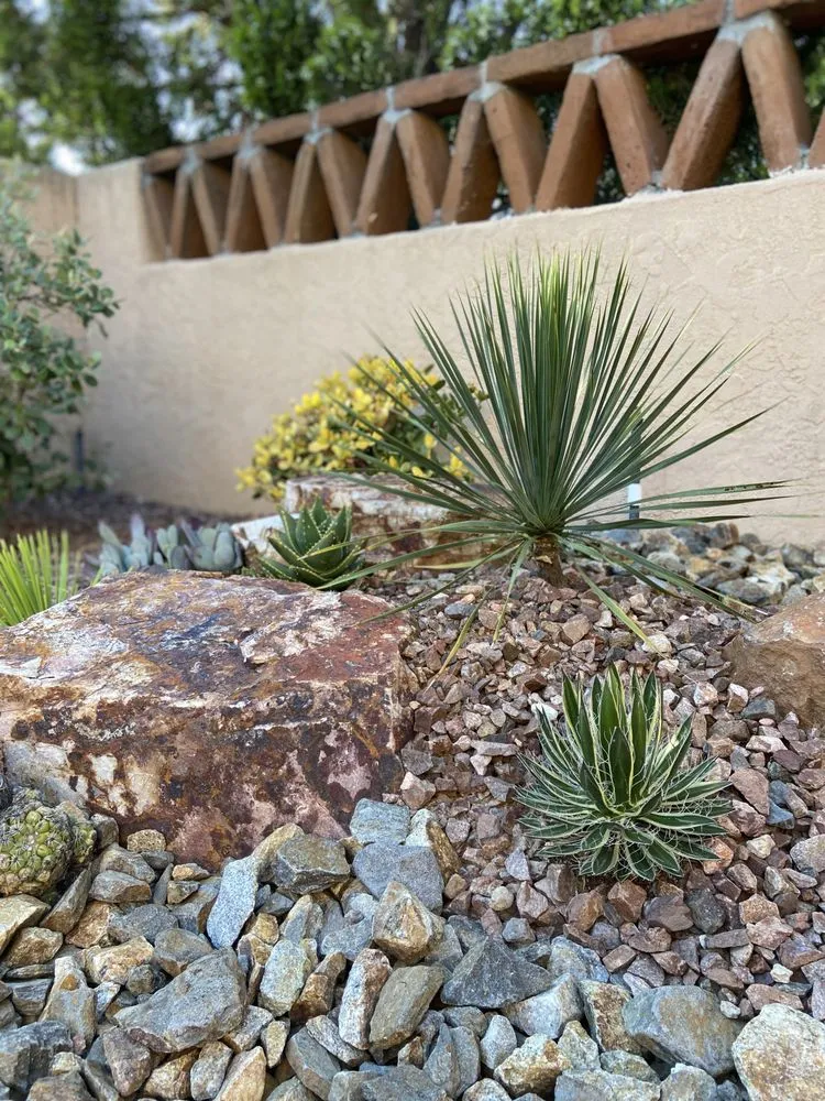 Professional lawn mowing service for beautiful yards across Encinitas, CA - Garden Rhythms