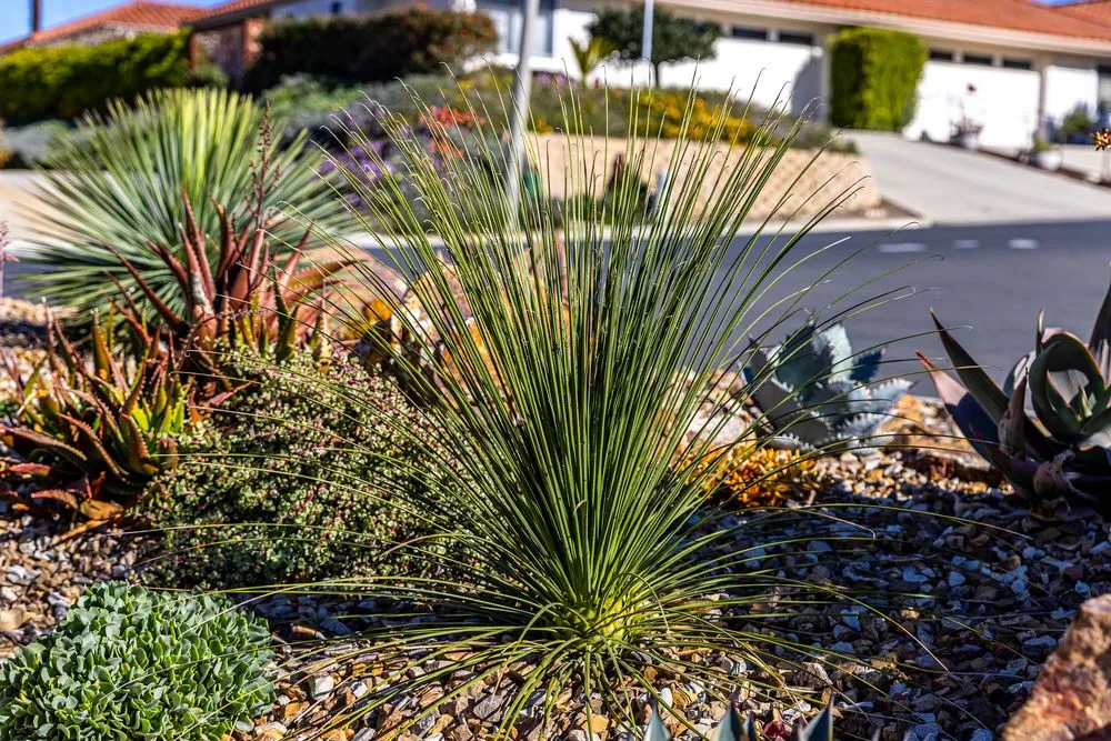 Trusted outdoor landscaping with custom design in Encinitas, CA by Garden Rhythms