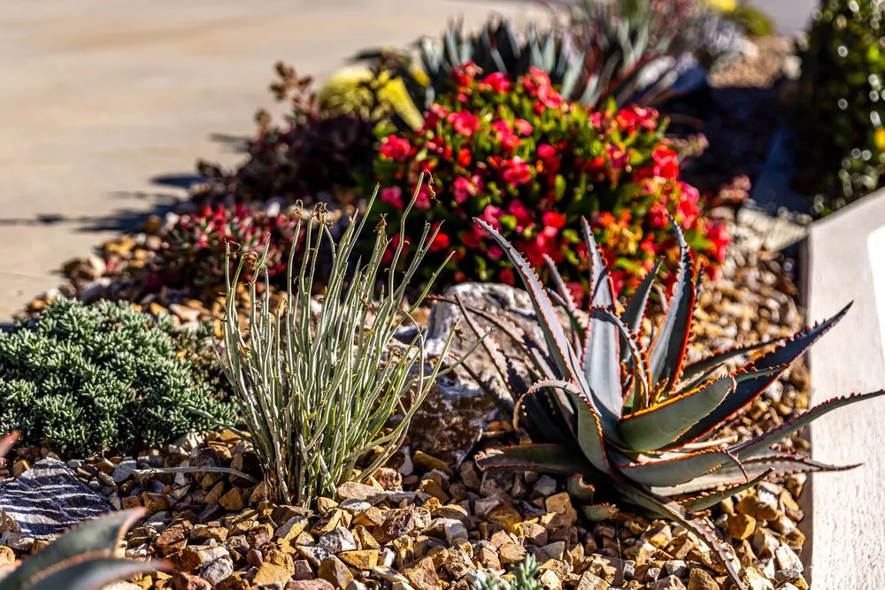 Professional landscaping services for homes in Encinitas, CA by Garden Rhythms