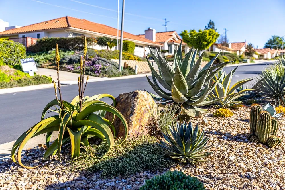 Custom yard maintenance near you in Encinitas, CA by Garden Rhythms