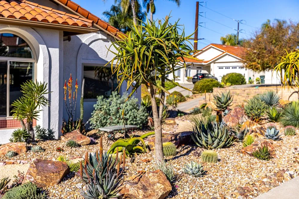 Top-rated landscaping services for residential properties across Encinitas, CA - Garden Rhythms