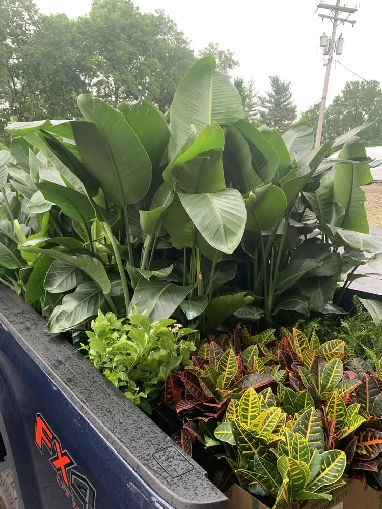 Custom yard cleanup service in Cincinnati, OH by Garden Roots Consulting