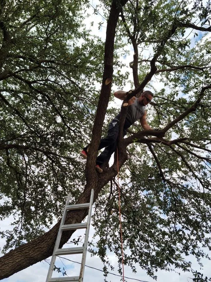 Custom garden landscaping in Midland, TX - Garden Scapes by Design