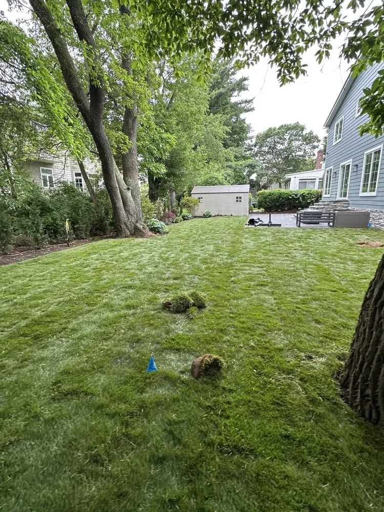 Reliable lawn care service in Massapequa Park, NY by Garden Scapes