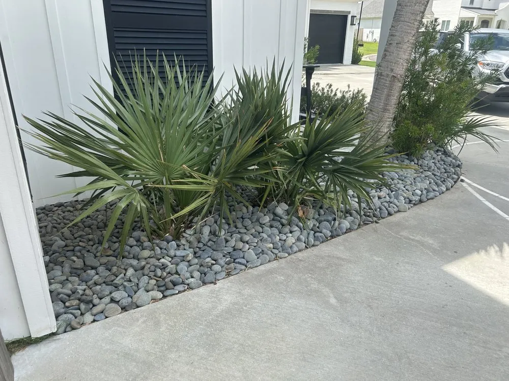 Reliable yard maintenance for year-round maintenance across Youngsville, LA - Garden Scapes