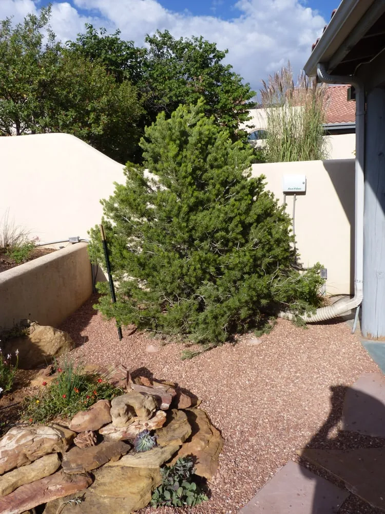 Affordable landscape installation near you in Grand Junction, CO by Garden Scentsations