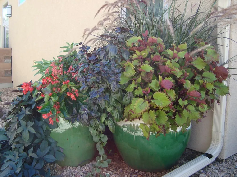 Expert outdoor landscaping experts serving Grand Junction, CO - Garden Scentsations