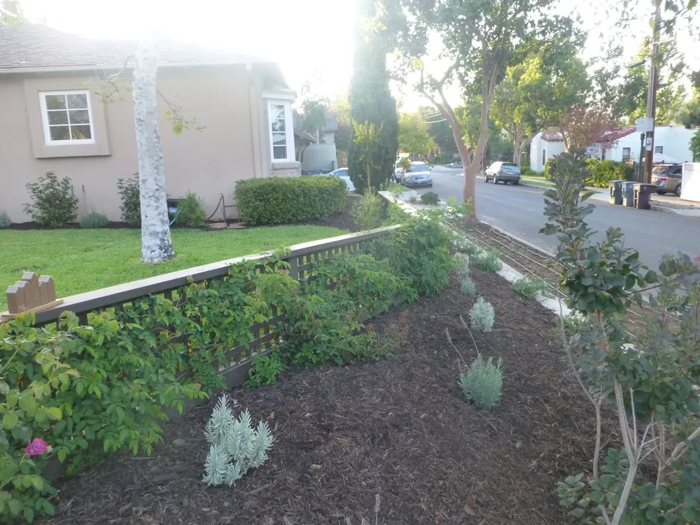 Reliable residential landscaping for residential properties in Sun Valley, CA by Garden Service