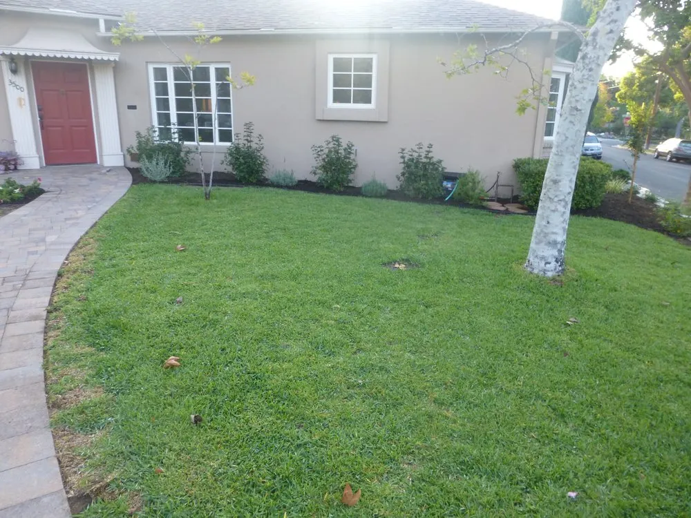 Custom yard maintenance for outdoor upgrades across Sun Valley, CA - Garden Service