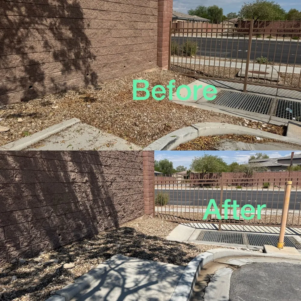 Custom garden landscaping in Las Vegas, NV by Garden Services JB