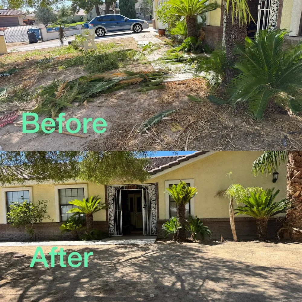 Affordable landscape installation in Las Vegas, NV by Garden Services JB