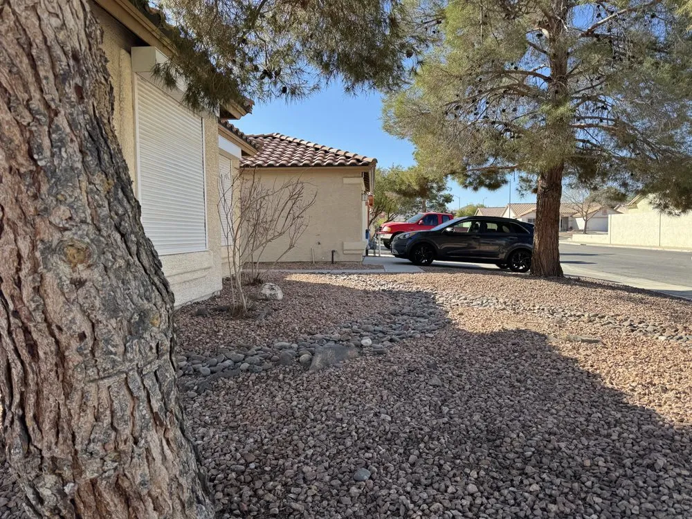 Custom yard cleanup service experts serving Las Vegas, NV - Garden Services JB