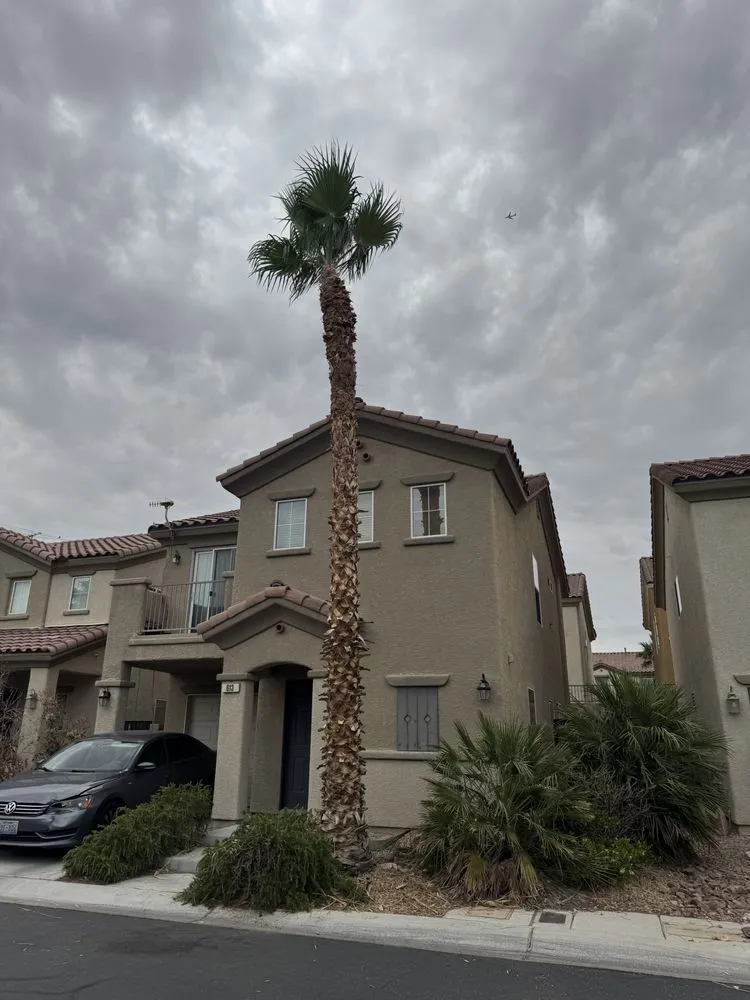 Trusted outdoor landscaping experts serving Las Vegas, NV - Garden Services JB